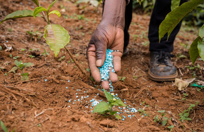 Fertilizers Literacy